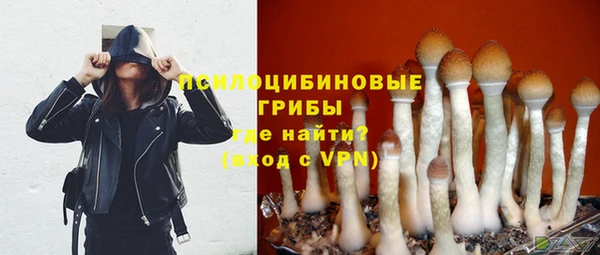 индика Алексеевка