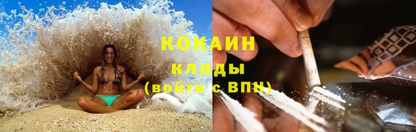 индика Алексеевка