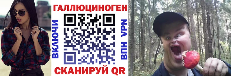 ссылка на мегу как войти  Костерёво  Галлюциногенные грибы прущие грибы  где купить  